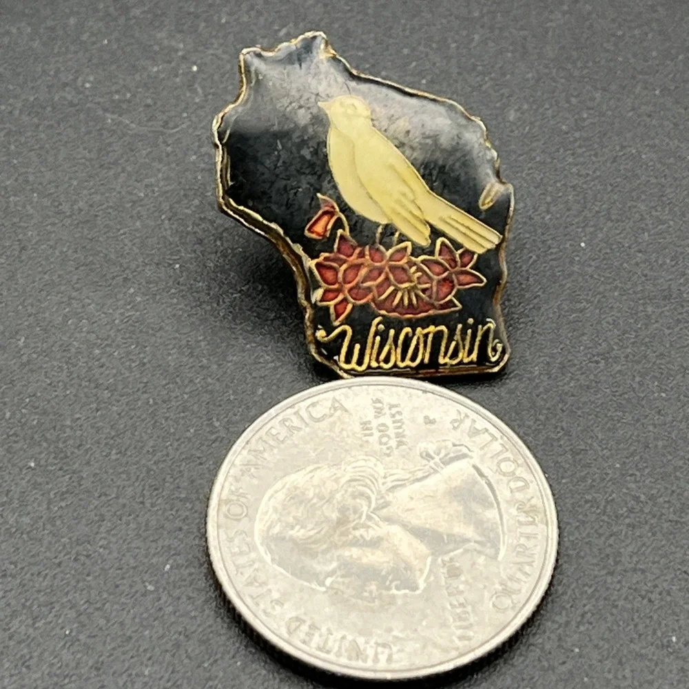Wisconsin State‎ Outline Bird Flowers United States Of America Lapel Hat Pin